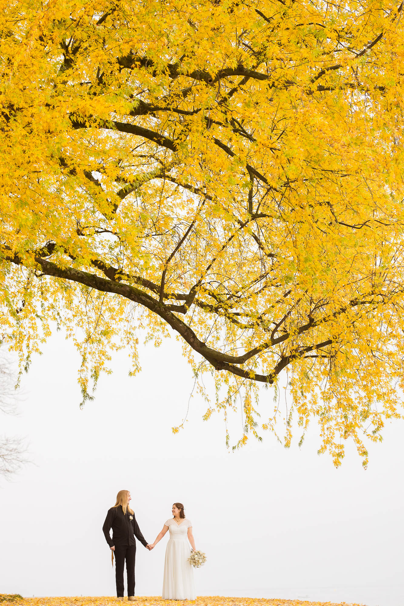 Export x3 1DX29364 Hochzeit 2020 Monika & Sharru 3